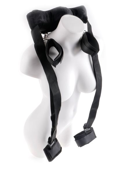 Pink Passion Power Collar & Leash