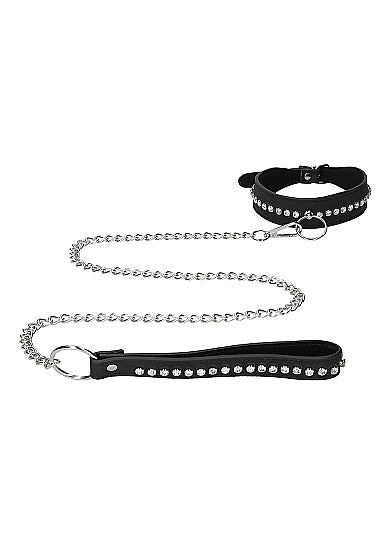 Radiant Rainbow Collar with Leash