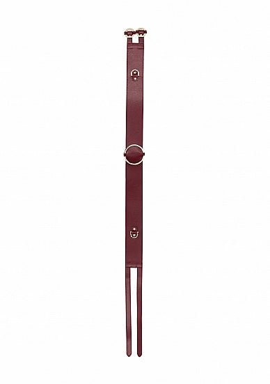 Crimson Halo Waist Cincher L/XL