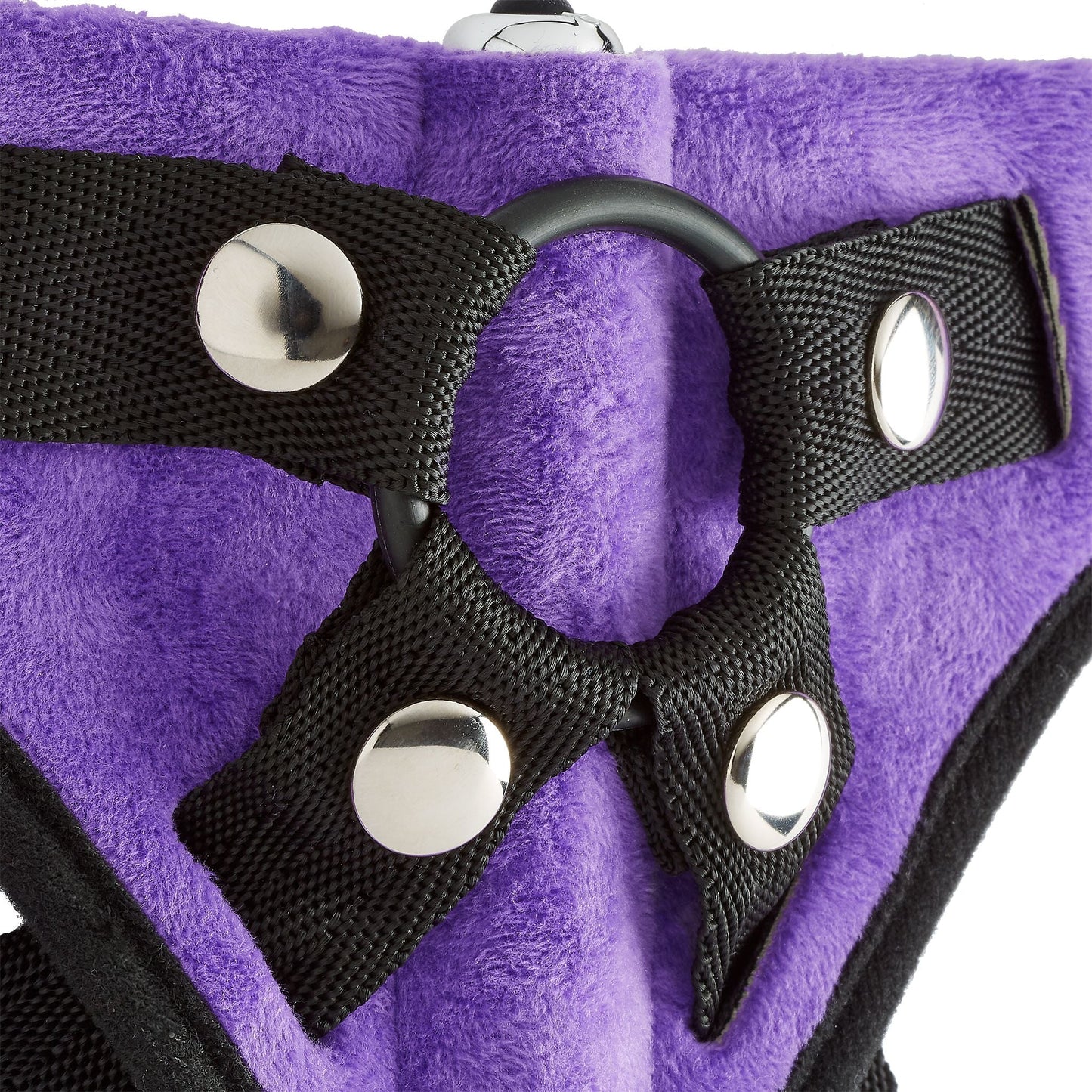 Kit de arnés con correa Morado