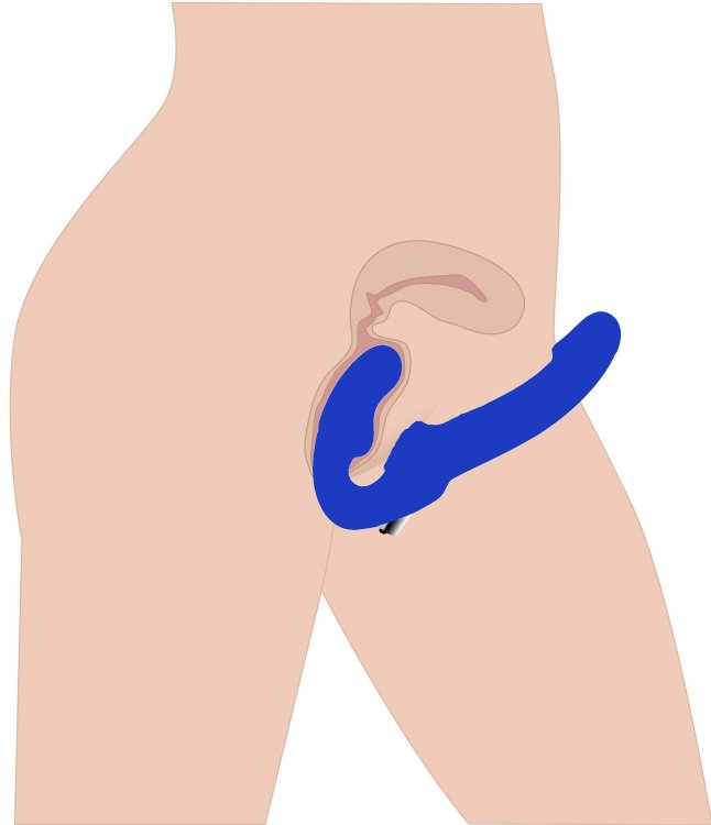 Strap U Revolver Sin Tirantes Correa En Consolador Azul