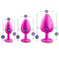 Kit de entrenamiento anal Pink Diamond Delight