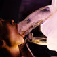 Juega Wiv Me Enorme Pene Ice Luge