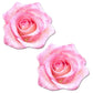 Pastease Pink Glitter Velvet Rose Pink