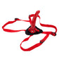 Red Rider