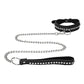 Collar Arco Iris Radiante con Correa