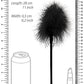 Seductive Serenity Feather Tease