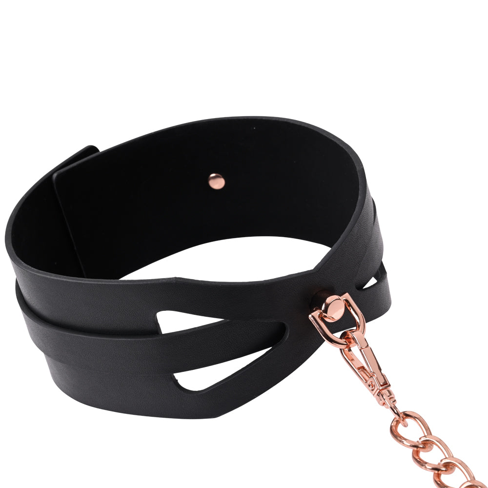 Impudent Silence Collar and Tether