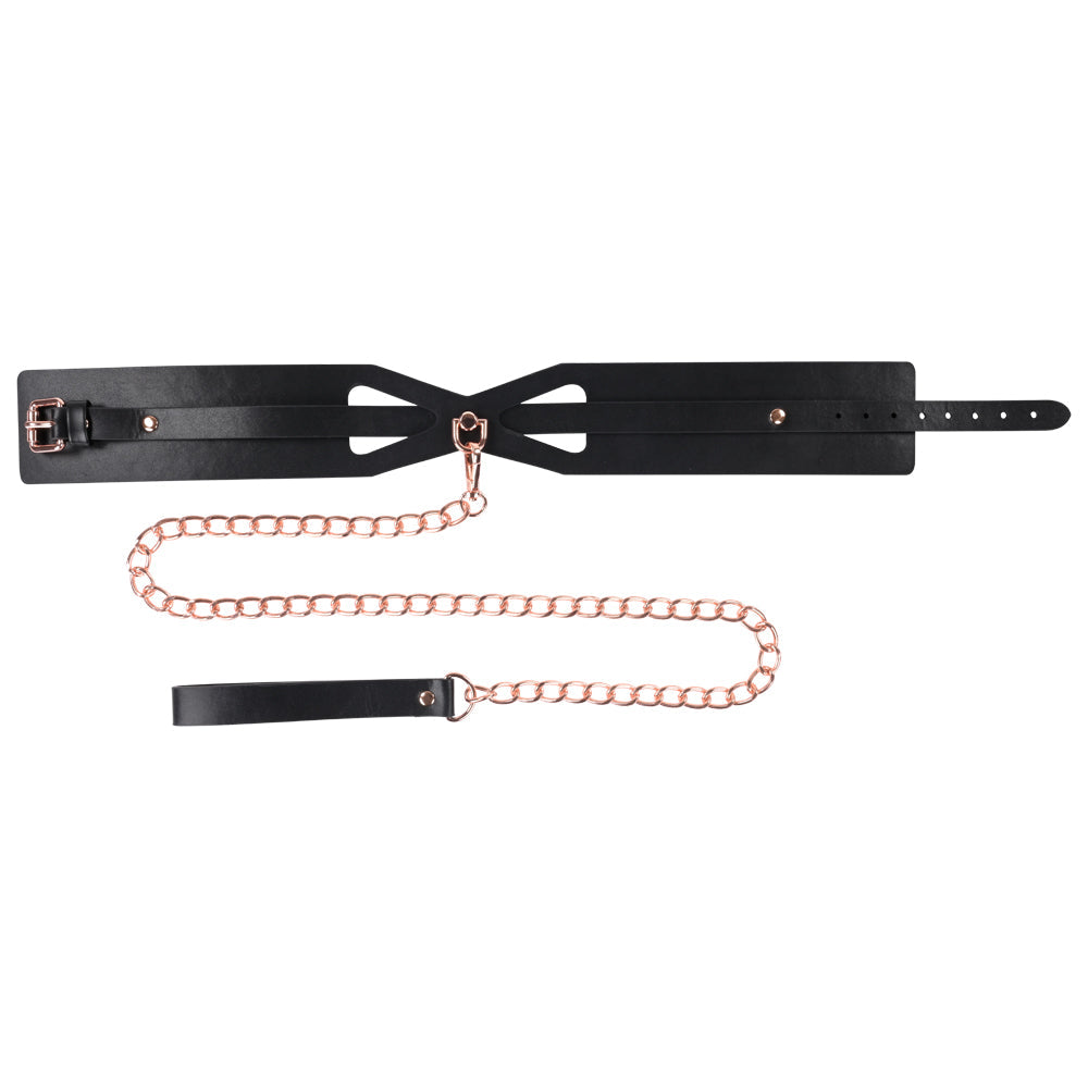 Impudent Silence Collar and Tether