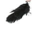 Pluma de avestruz carmesí