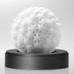 Tenga Geo Coral