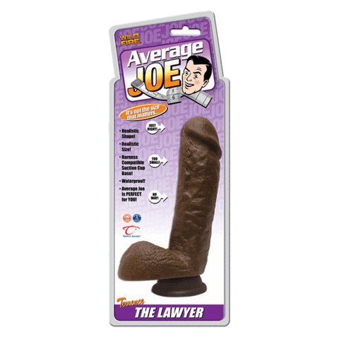 Average Joe The Lawyer Terrence