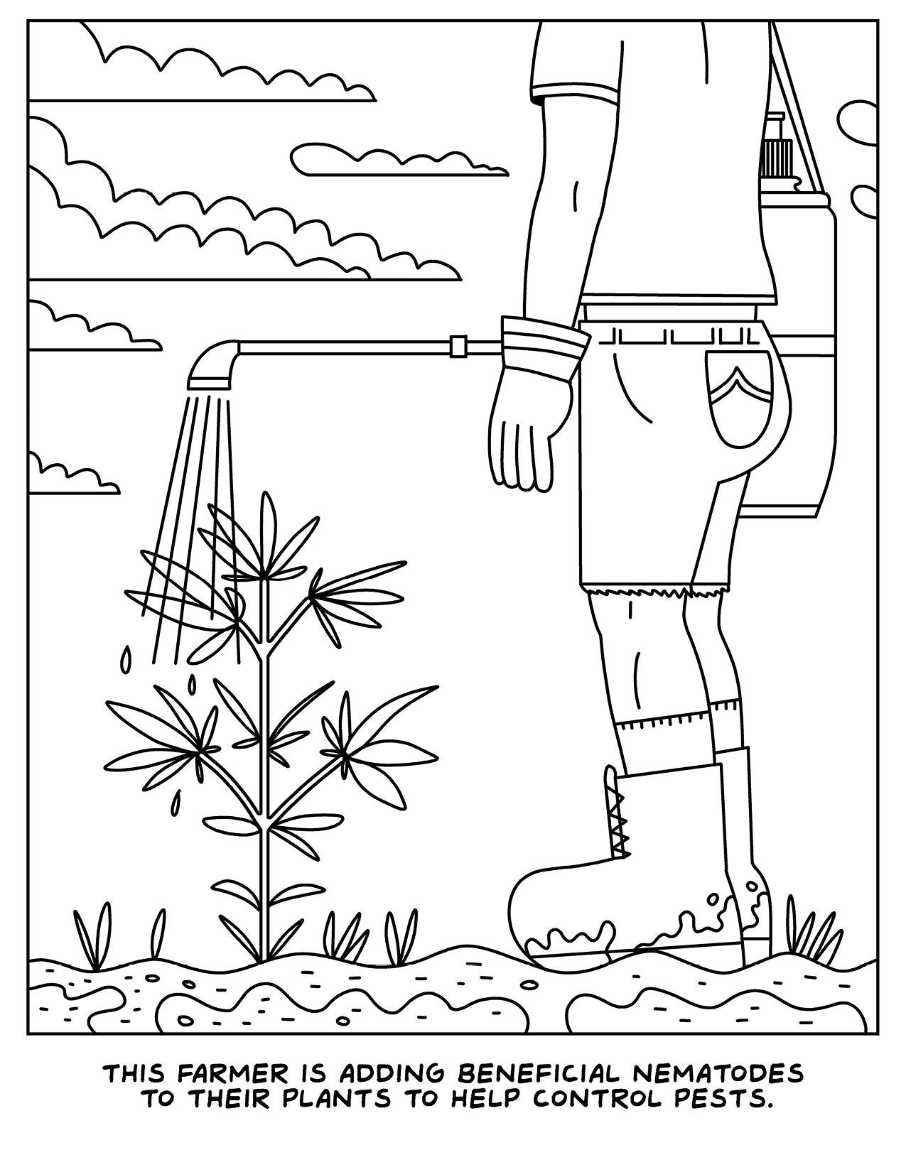 Libro para colorear Una visita a la granja de cannabis