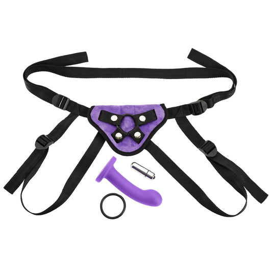 Kit de arnés con correa Morado