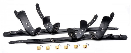 Boundless Frog Tie Set