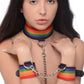 Master Series Kinky Pride Juego de bondage arcoíris