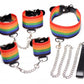 Master Series Kinky Pride Juego de bondage arcoíris