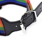 Master Series Kinky Pride Juego de bondage arcoíris