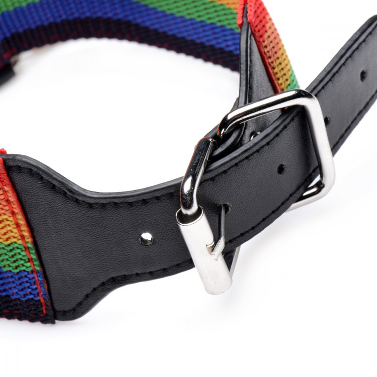 Master Series Kinky Pride Juego de bondage arcoíris